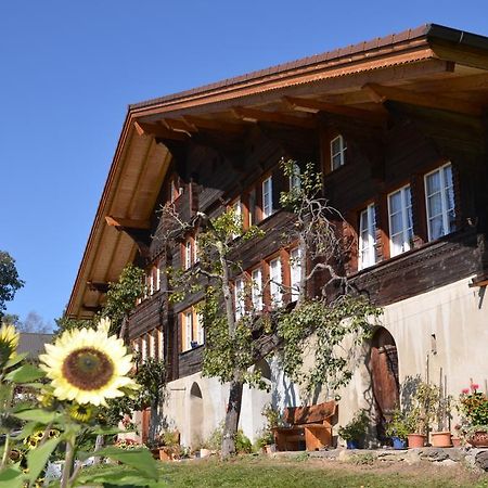 Haus Gerbi Daire Hasliberg Dış mekan fotoğraf