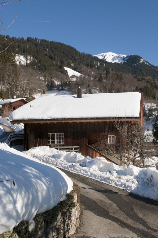 Haus Gerbi Daire Hasliberg Dış mekan fotoğraf