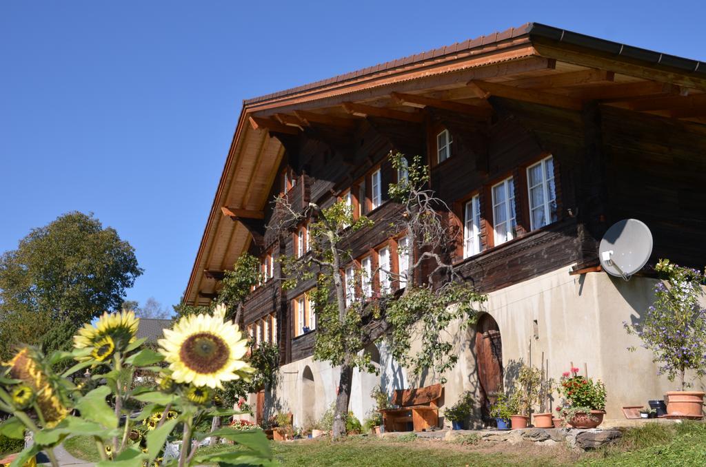 Haus Gerbi Daire Hasliberg Dış mekan fotoğraf